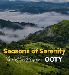 Best Time to Visit Ooty | A Complete Travel Guide