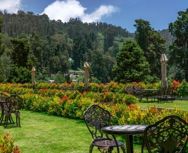 mountain view resort ooty